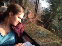 dec2015 - 22  Then a final train ride up Rochers de Naye